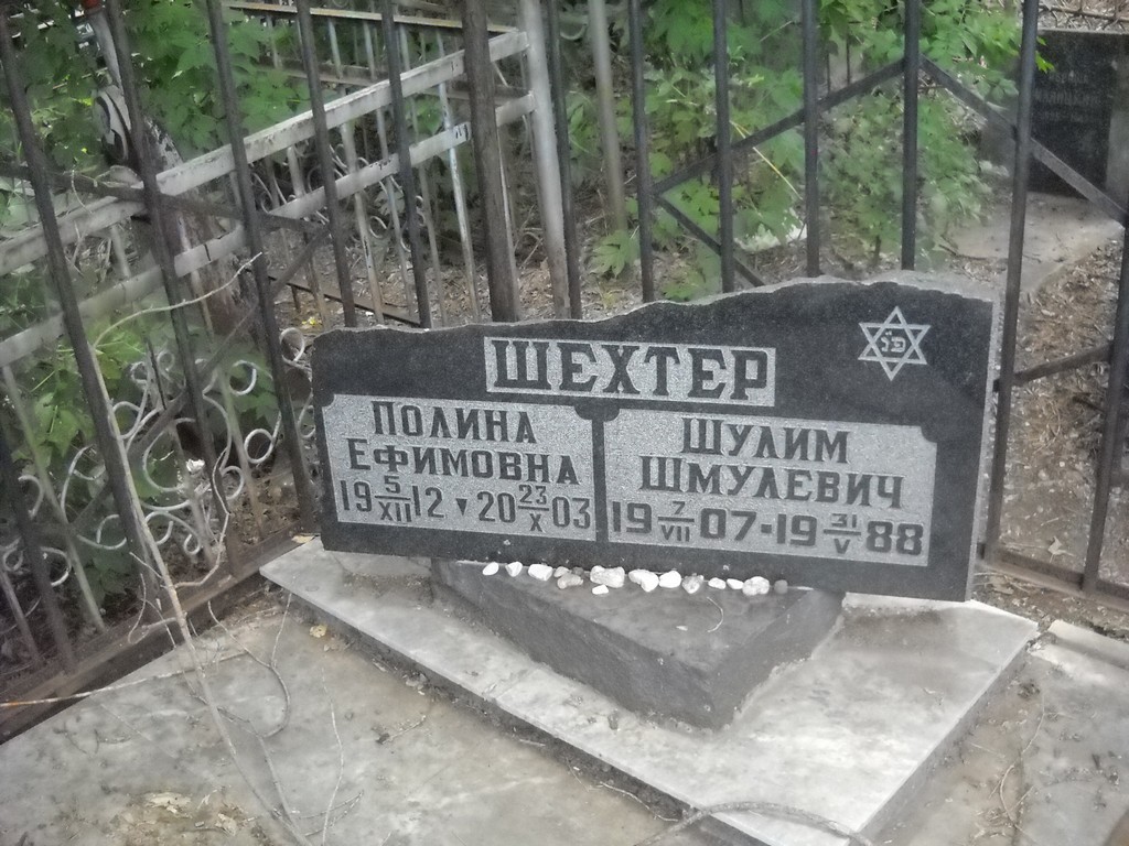 Шехтер Полина Ефимовна, Саратов, Еврейское кладбище